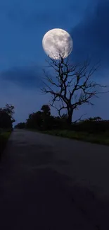 Moonlit road with a lone tree under a dark blue sky.