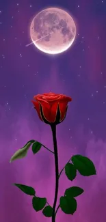 Red rose under full moon in purple night sky wallpaper.