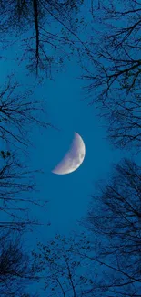 Crescent moon framed by trees against a deep blue night sky.