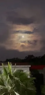 An enchanting night scene with a full moon and palm trees under dark clouds.