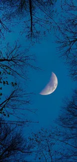 Crescent moon in a deep blue night sky with silhouetted trees.