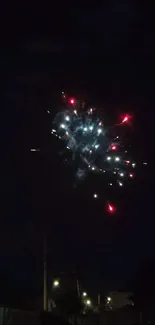 Bright fireworks bursting in the night sky.