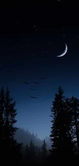 Crescent moon and forest silhouette under a starry night sky with birds flying.