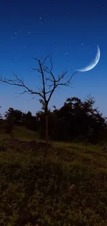 Night landscape with crescent moon, stars, and a lone tree.