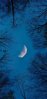 Night sky view with half moon and silhouetted trees.