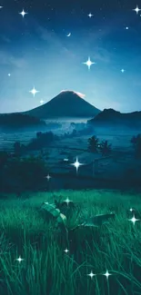 Starry night over mountain with grass in foreground.