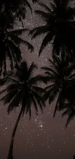 Palm trees silhouetted against a starry night sky.