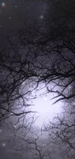 Dark branches silhouetted against a starry night sky and glowing moonlight.