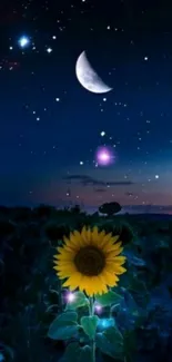 Sunflower under a starlit night sky with the moon.