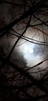 Mysterious night sky with glowing moon and dark tree branches.