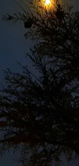 Silhouette of tree against a moonlit dark sky.