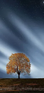 Night sky with a tree under stars and moon, perfect mobile wallpaper.