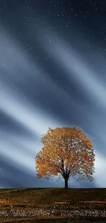 Serene night sky with a lone tree under stars, perfect for phone wallpaper.