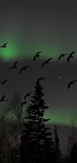 Night sky with green aurora and forest silhouette.