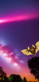 Colorful night sky wallpaper with cartoon bat.