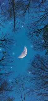 Crescent moon and trees in a blue night sky with stars.