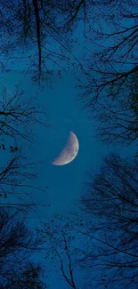 Crescent moon in a dark blue sky with silhouetted tree branches.