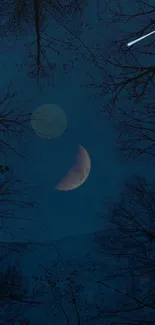 Crescent moon and shooting star in a night sky framed by trees.