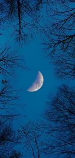 Crescent moon in a dark blue night sky with trees silhouetted.