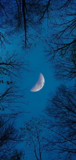 Crescent moon in a night sky framed by silhouetted tree branches.