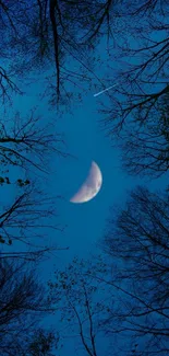 Night sky with crescent moon and silhouetted treetops.