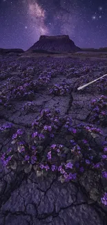 Purple flowers under a starry night sky with Milky Way.