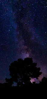 Silhouette of trees against a Milky Way starry night sky.