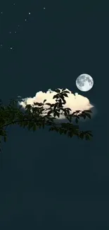 A calm night sky with full moon and tree silhouette wallpaper.