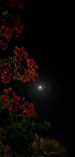 Moonlit night with vibrant red flowers against a dark sky.