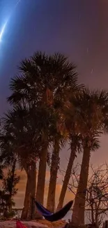 Night sky with palm trees and astral trails on a peaceful evening.