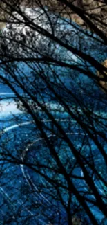 Silhouetted branches against a starry night sky in blue hues.