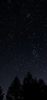 Silhouetted dark forest beneath a starry night sky.