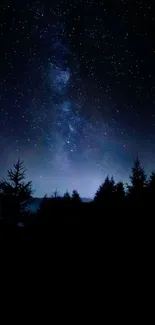 Star-filled night sky with dark silhouettes of trees.