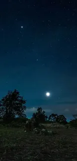 Night sky with stars and moon over a tranquil landscape.