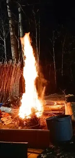 A serene nighttime bonfire illuminating a rustic forest setting.