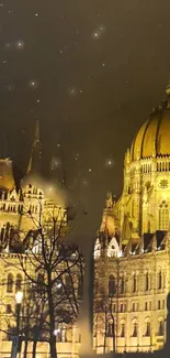 Illuminated Budapest architecture under a starry night sky.