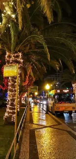 Nighttime city street with palm trees decorated with lights.