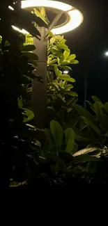 Glowing lamppost amidst dark green leaves at night.