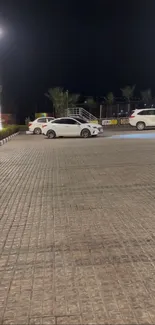 Calm night parking lot with cars under streetlights.