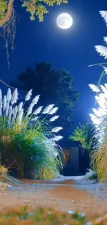 Enchanting moonlit garden path under a tranquil night sky.
