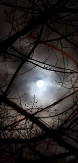 Full moon through tree branches at night, creating a haunting silhouette.