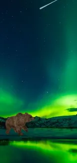 Bear under Northern Lights with mountains and reflection.