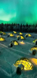 Glowing igloos under Northern Lights in snowy night scenery.