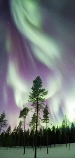 Beautiful northern lights over a snowy forest at night.