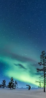 Stunning Northern Lights over snowy landscape and starry night sky.