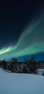 Northern lights over snowy forest with dark blue sky.