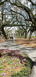 Oak Alley Plantation with historic trees forming a scenic archway.