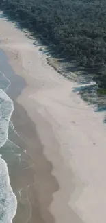 Aerial view of a serene beach with lush forest and turquoise ocean waves.