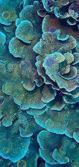 Teal coral reef wallpaper with intricate ocean patterns.