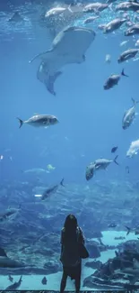 Silhouette in aquarium with vibrant fish display.